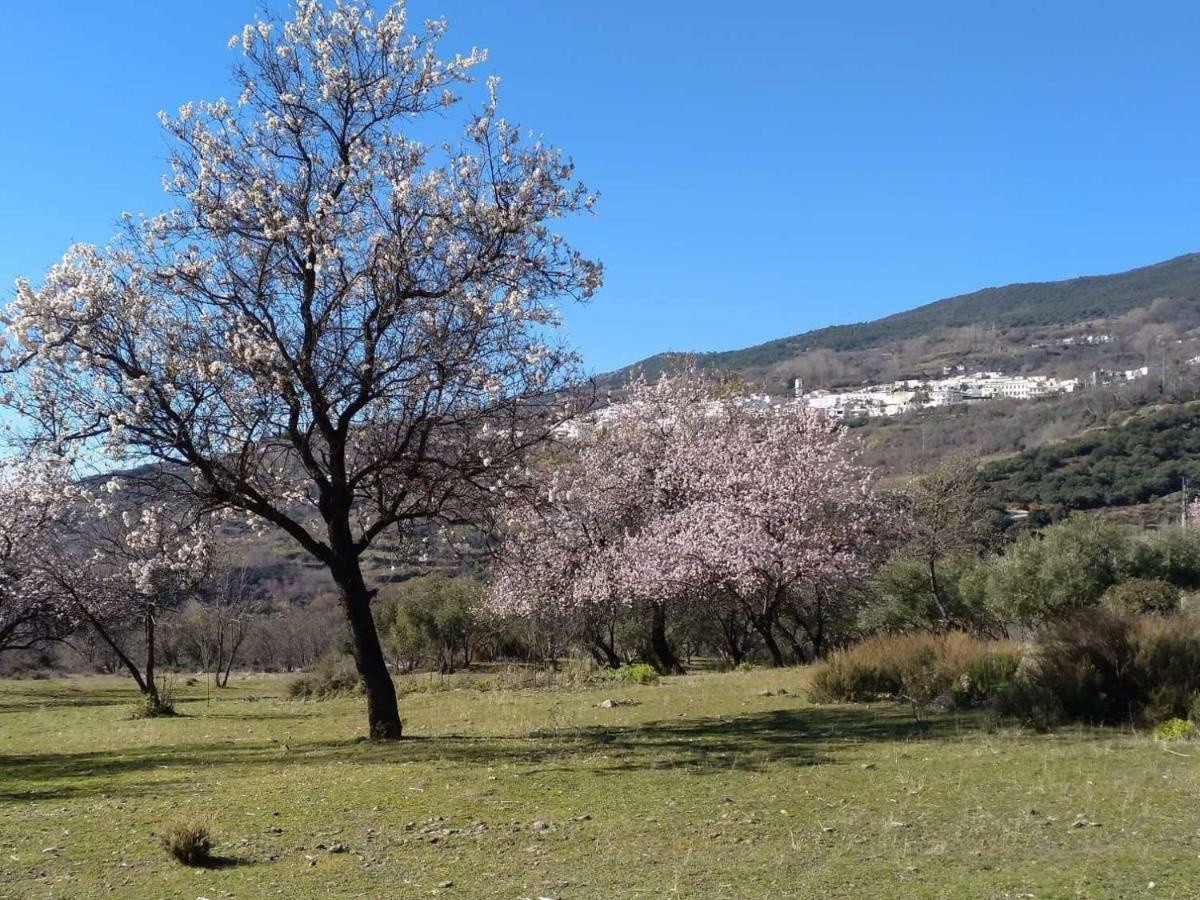 Castano Real Vila Atalbeitar Exterior foto